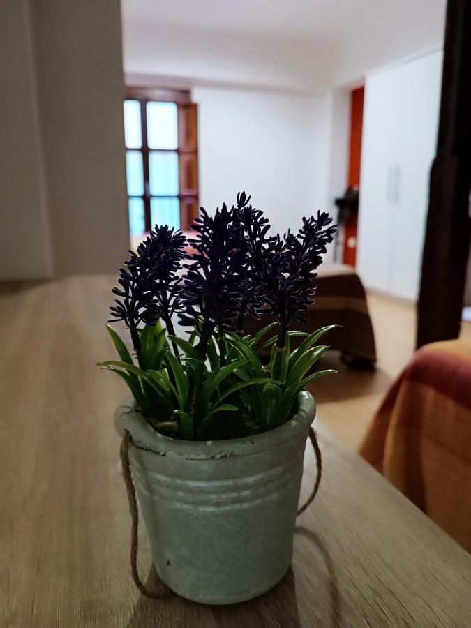 Corrala De San Anton. Sencillo Apartamento En Pleno Centro Granada Bagian luar foto